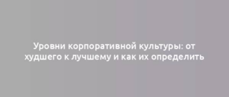 Уровни корпоративной культуры: от худшего к лучшему и как их определить