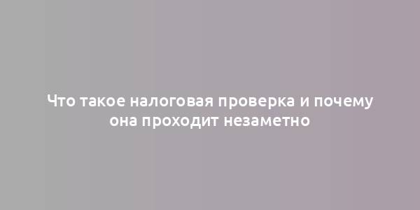 Что такое налоговая проверка и почему она проходит незаметно