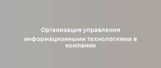 Организация управления информационными технологиями в компании