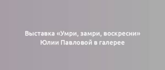 Выставка «Умри, замри, воскресни» Юлии Павловой в галерее