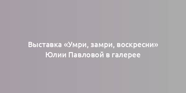 Выставка «Умри, замри, воскресни» Юлии Павловой в галерее