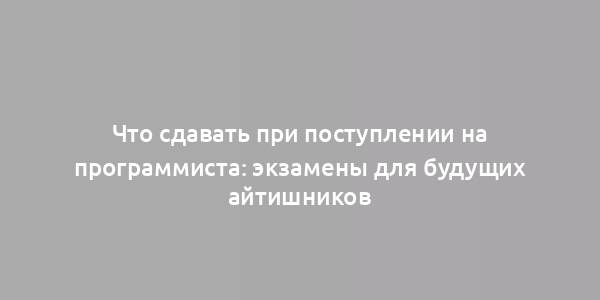 Что сдавать при поступлении на программиста: экзамены для будущих айтишников