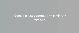 «Совы» и «жаворонки» — миф или правда