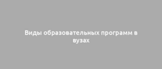 Виды образовательных программ в вузах