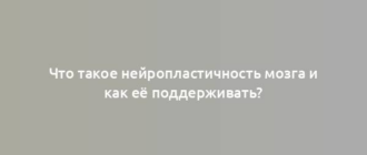 Что такое нейропластичность мозга и как её поддерживать?