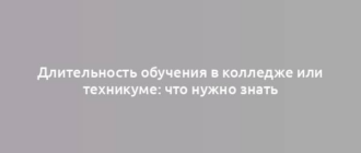 Длительность обучения в колледже или техникуме: что нужно знать