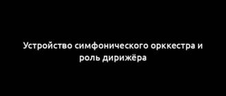 Устройство симфонического орккестра и роль дирижёра