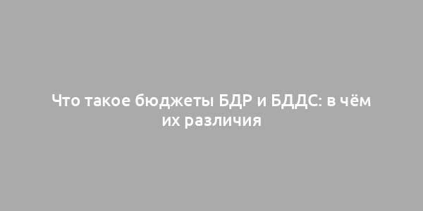 Что такое бюджеты БДР и БДДС: в чём их различия