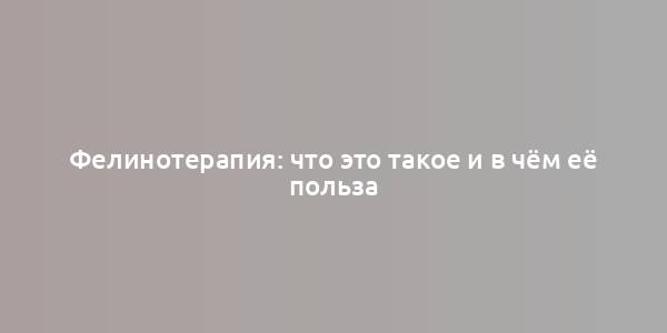 Фелинотерапия: что это такое и в чём её польза