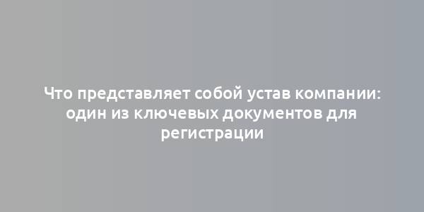 Что представляет собой устав компании: один из ключевых документов для регистрации