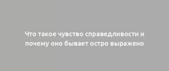 Что такое чувство справедливости и почему оно бывает остро выражено