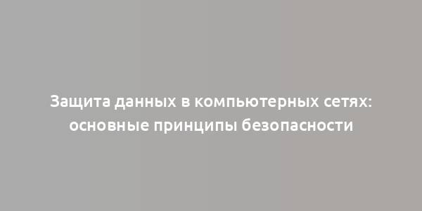 Защита данных в компьютерных сетях: основные принципы безопасности