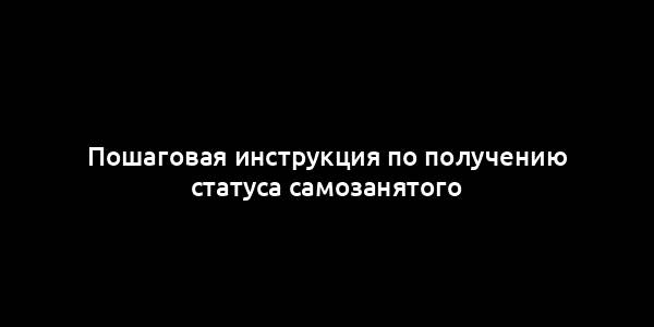 Пошаговая инструкция по получению статуса самозанятого