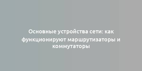 Основные устройства сети: как функционируют маршрутизаторы и коммутаторы