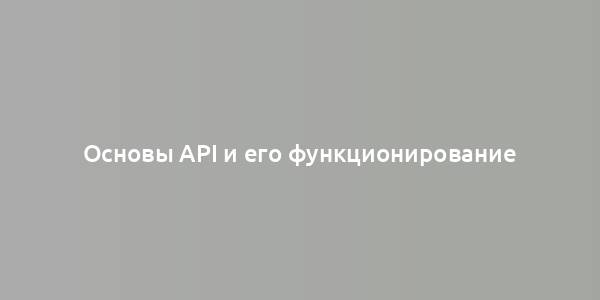 Основы API и его функционирование