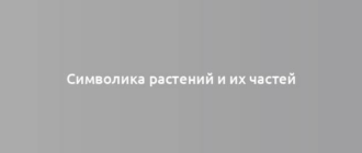 Символика растений и их частей