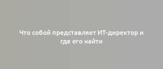 Что собой представляет ИТ-директор и где его найти