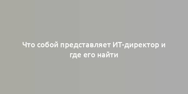 Что собой представляет ИТ-директор и где его найти