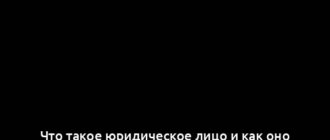 Что такое юридическое лицо и как оно отличается от других форм предпринимательства